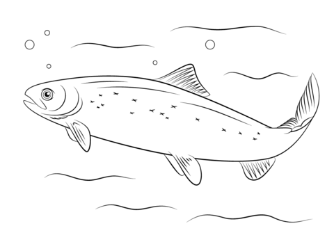 Atlantic Salmon Coloring Page